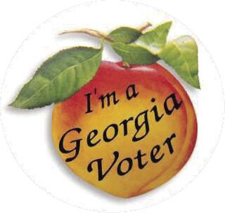 Ga Voter